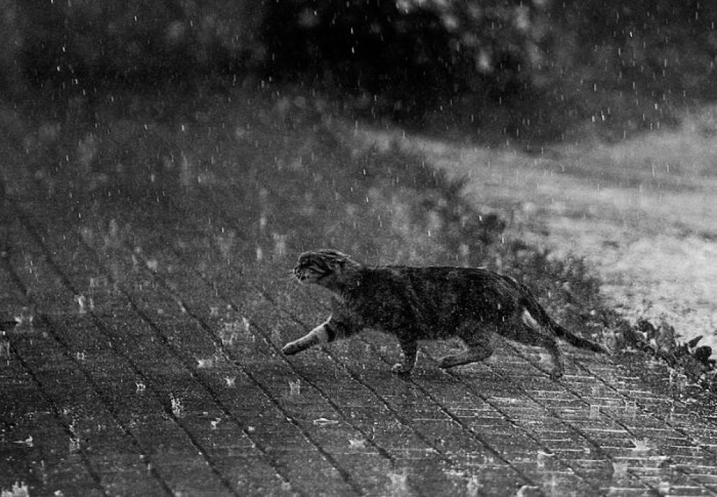 la rime de la pluie